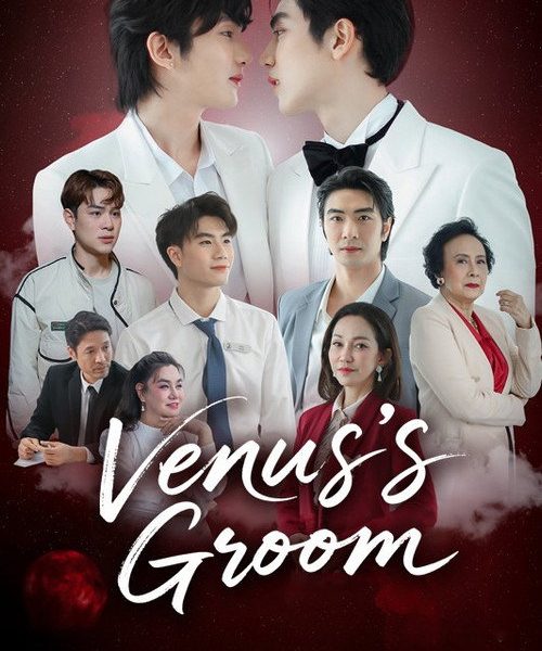 Venus s Groom (2026)